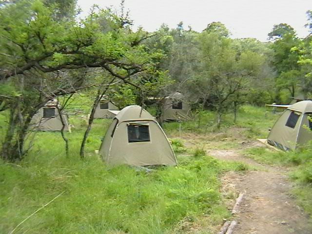 Camping Safari in Afrika: Südafrika, Botswana, Sambia
